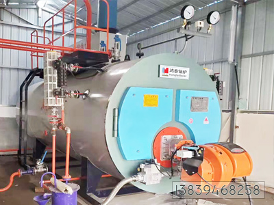 WNS型燃氣蒸汽鍋爐使用現場